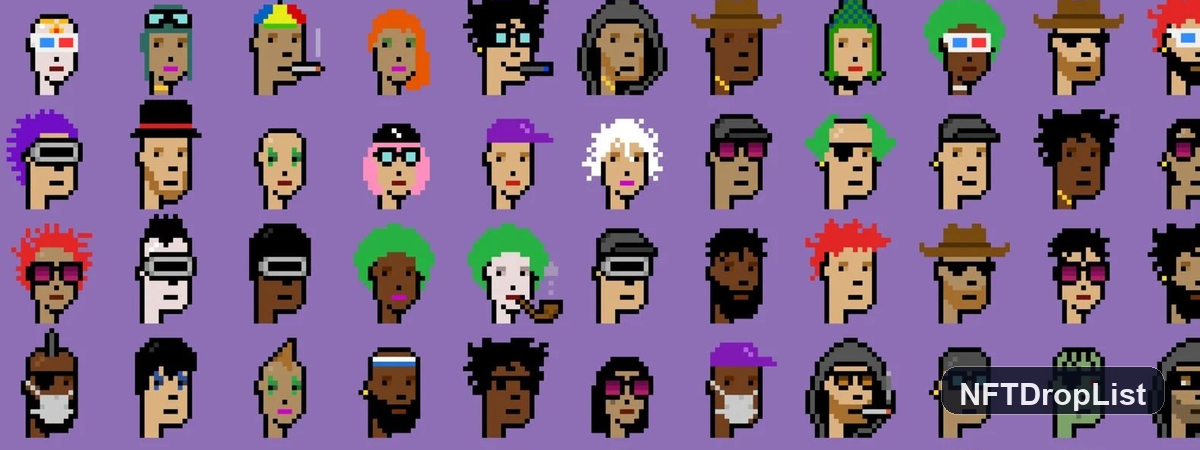 Credited Punks NFT Collection Banner