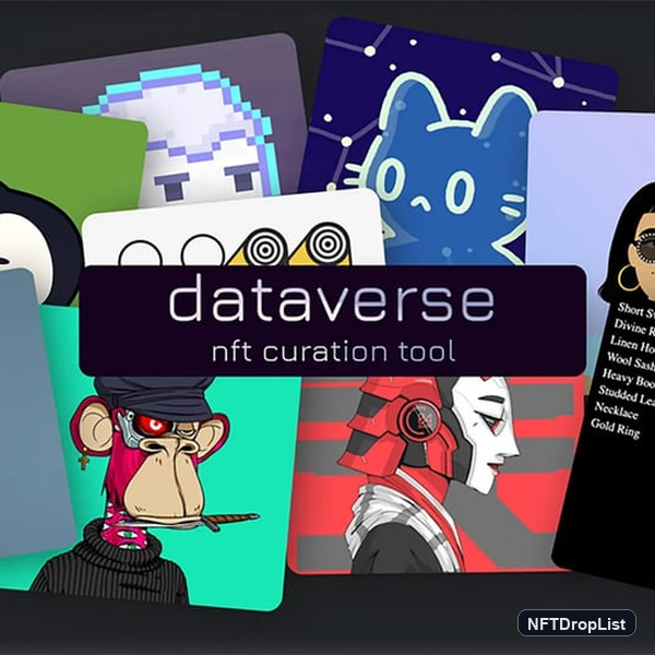 Dateverse NFT Logo